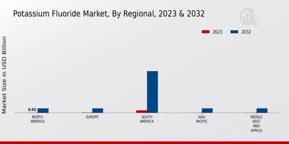 Potassium Fluoride Market Regional Insights  