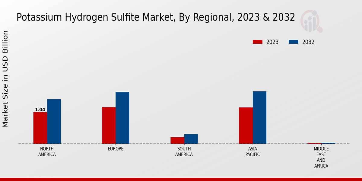 Potassium Hydrogen Sulfite Market Regional Insights