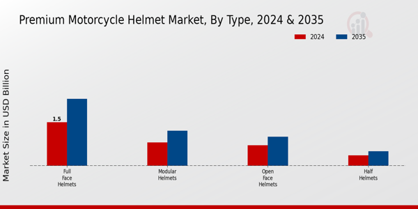 Premium Motorcycle Helmet Market Segment