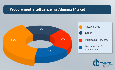 Procurement Intelligence for Alumina Market