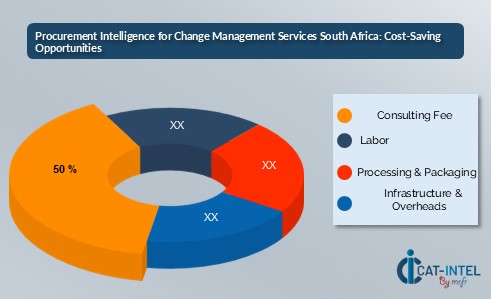 Procurement Intelligence for Change Management Services South Africa Cost-Saving Opportunities