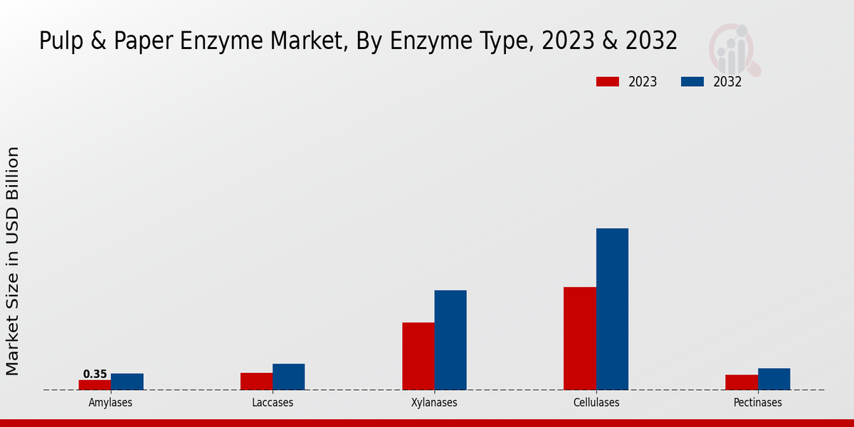 Einblicke in den Markt für Zellstoff- und Papierenzyme - Einblicke in Enzymtypen