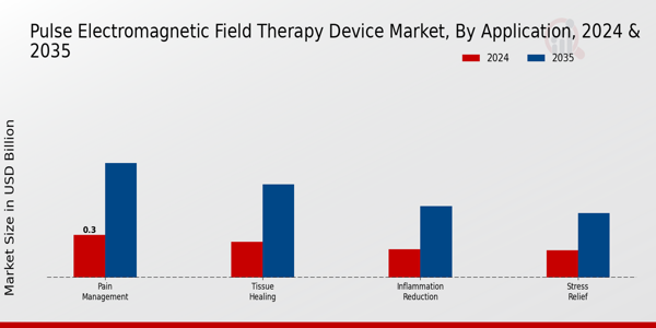 Pulse Electromagnetic Field Therapy Device Market Segment