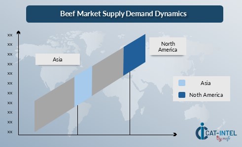 Regional Demand-Supply Outlook: Beef Market