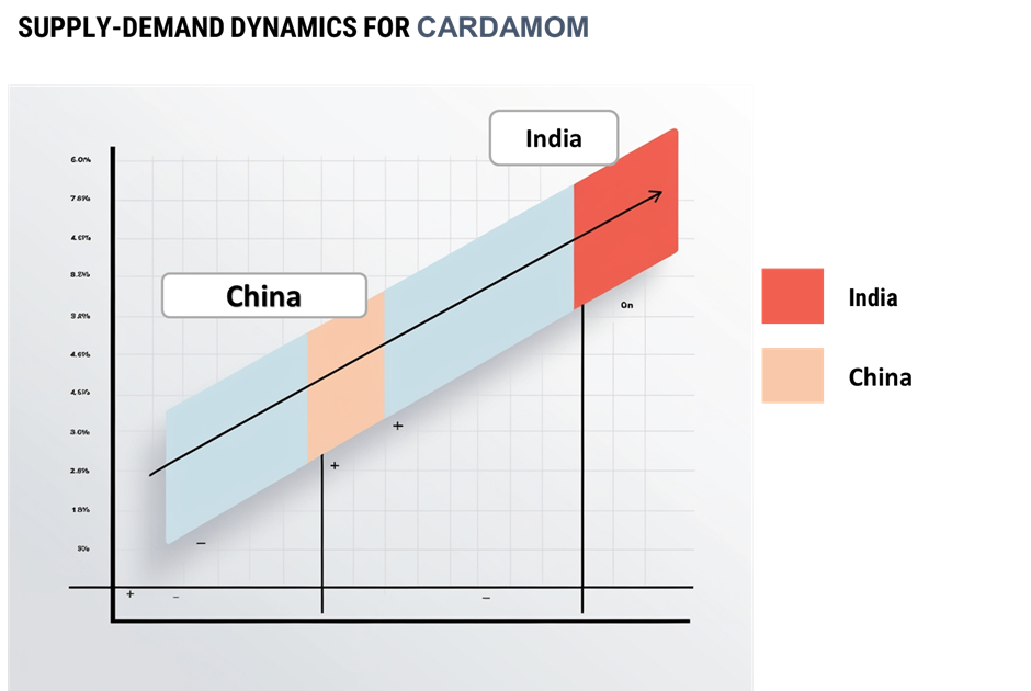 Regional Demand-Supply Outlook: Cardamom Market