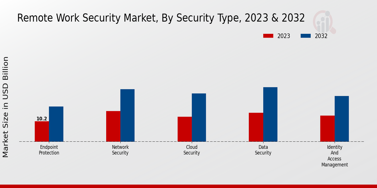 Remote Work Security Market Security Type Insights