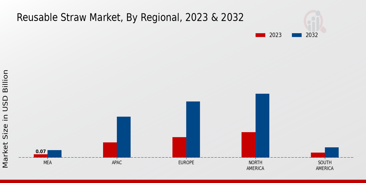 Reusable Straw Market Regional Insights