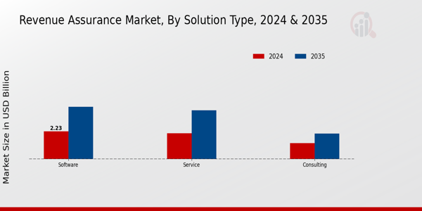 Revenue Assurance Market Segment