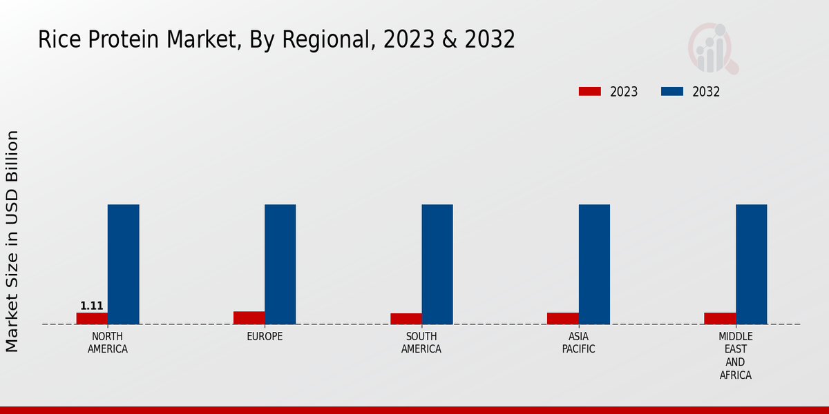 Rice Protein Market By Region