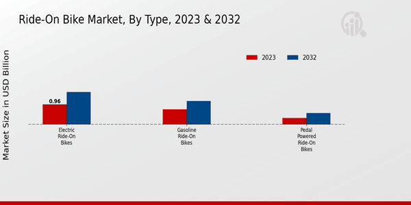 Ride-On Bike Market Type Insights