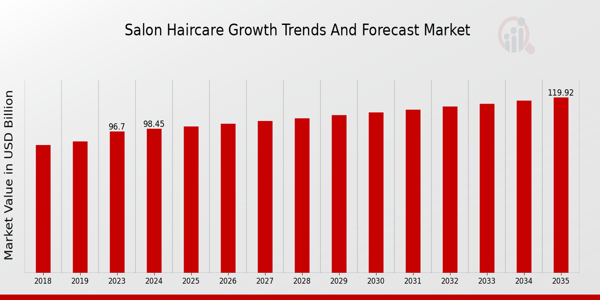 Global Salon Haircare Market Overview