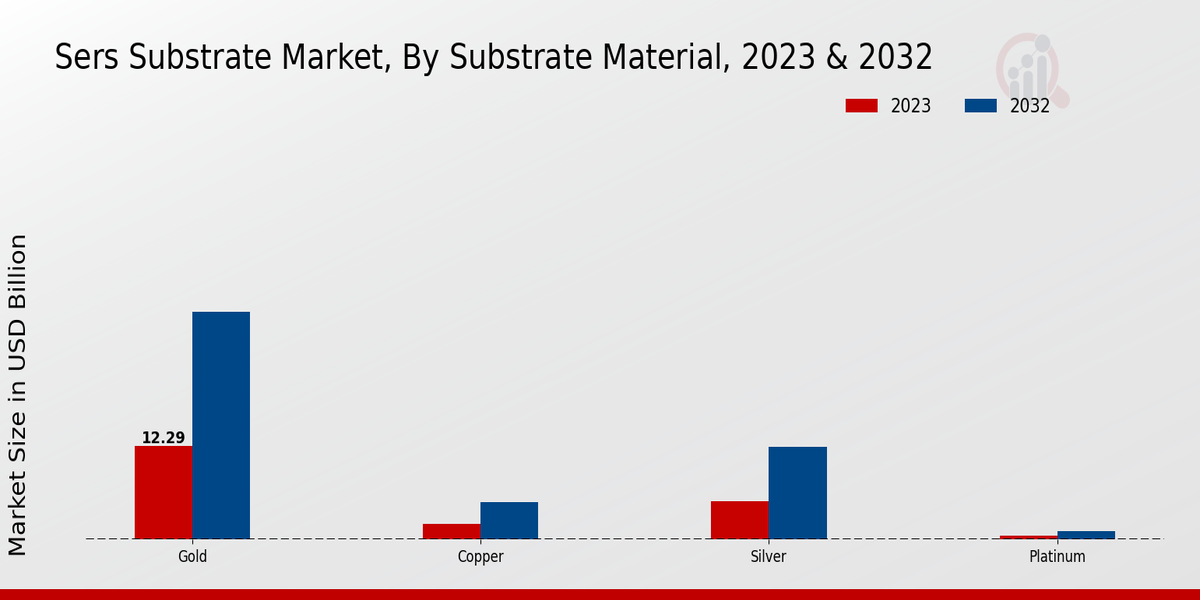 SERS Substrate Market By type