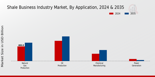 Shale Business Industry Market Application Insights  