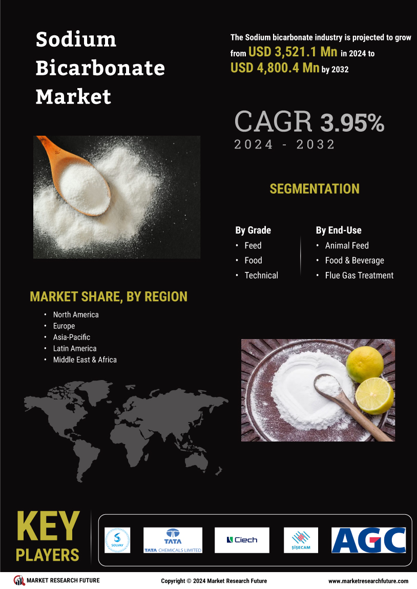 Sodium Bicarbonate Market