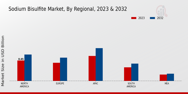 Sodium Bisulfite Market Regional Insights