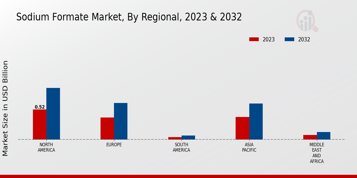 Sodium Formate Market Regional Insights