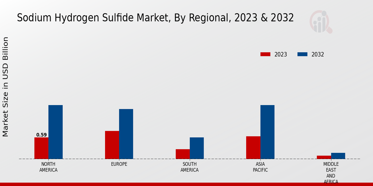 Sodium Hydrogen Sulfide Market Regional Insights