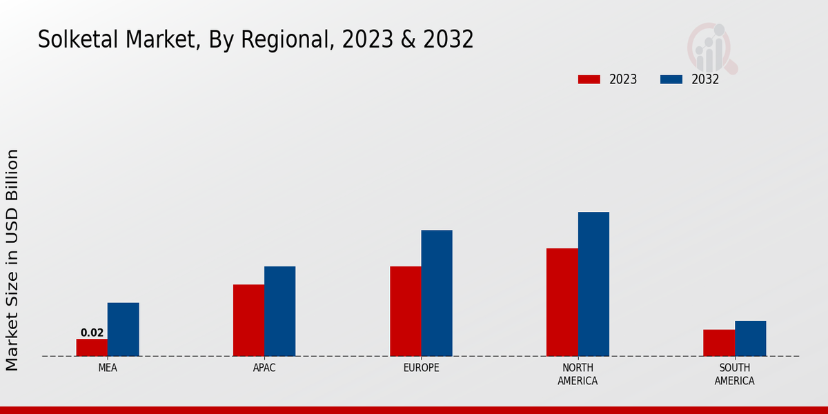 Solketal Market Regional Insights