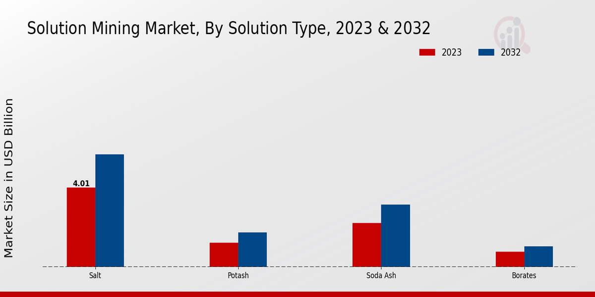 Solution Mining Market Solution Type Insights