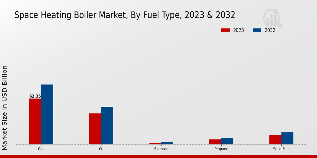 Space Heating Boiler Market Fuel Type Insights