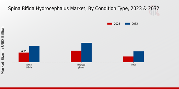 Spina Bifida Hydrocephalus Market Condition Type Insights