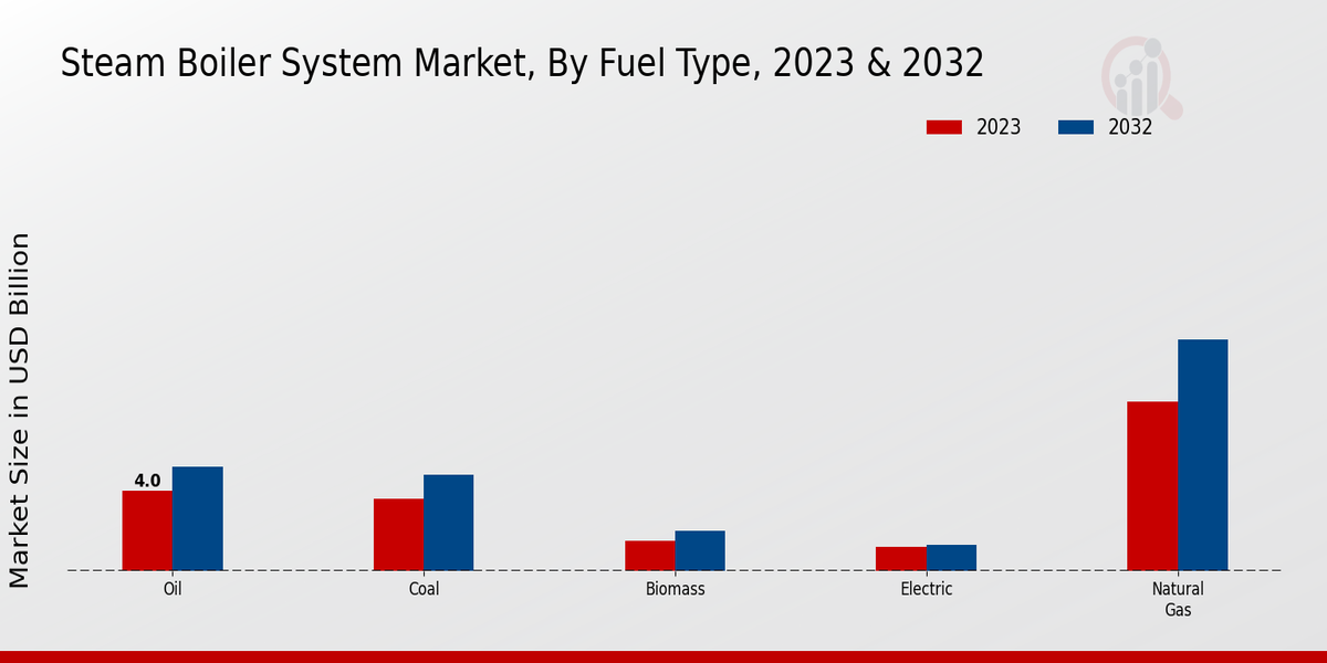 Steam Boiler System Market Fuel Type Insights  