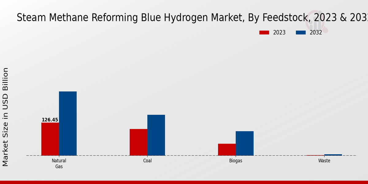 Steam Methane Reforming Blue Hydrogen Market Feedstock Insights