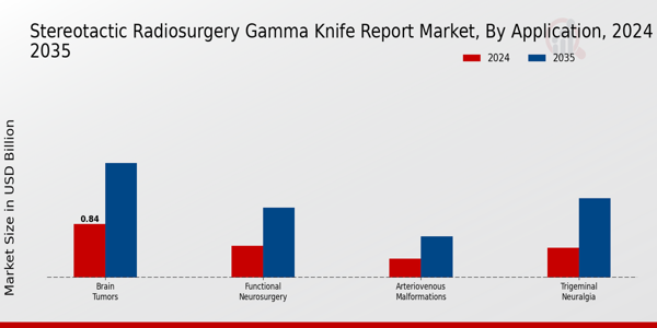 Stereotactic Radiosurgery Gamma Knife Report Market Segment