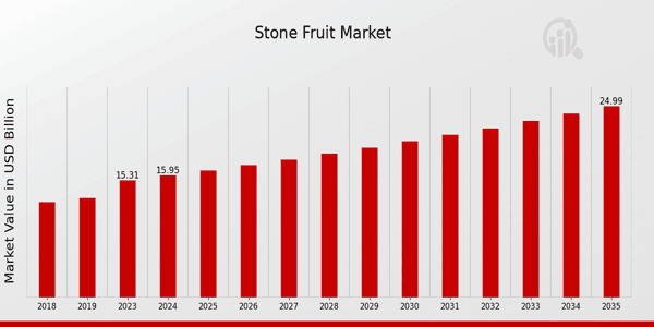 Global Stone Fruit Market Overview: