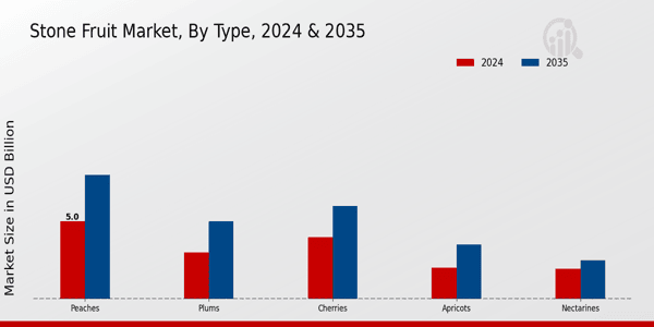 Stone Fruit Market Type Insights