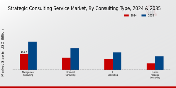 Strategic Consulting Service Market Segment