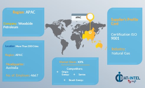 Strategies in the Natural Gas Market in Australia