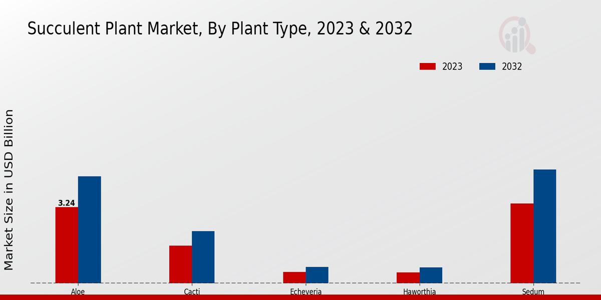 Succulent Plant Market Plant Type Insights  