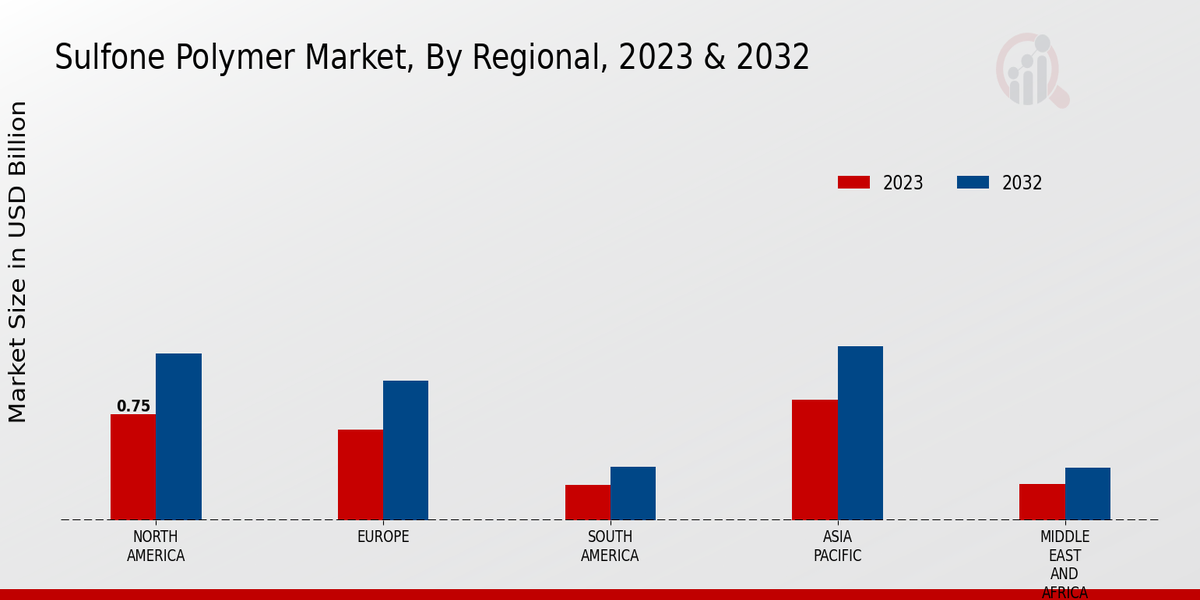 Sulfone Polymer Market Regional Insights