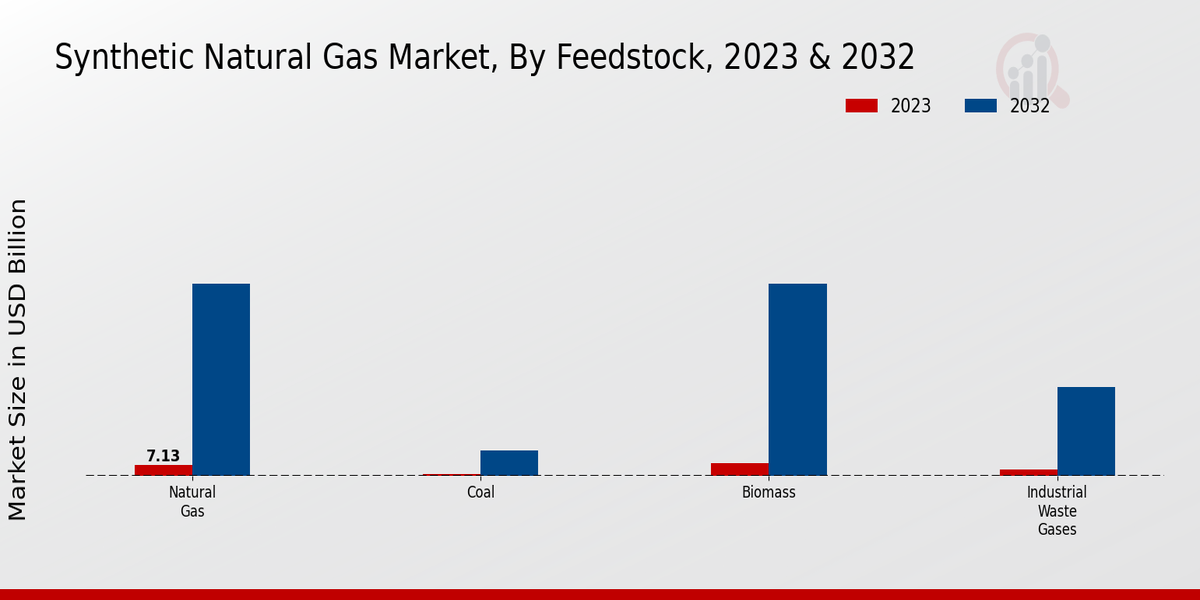 Synthetic Natural Gas Market Feedstock Insights