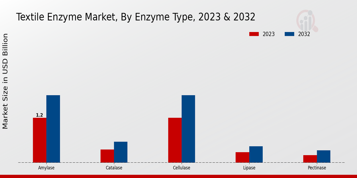 Textile Enzyme Market Enzyme Type Insights