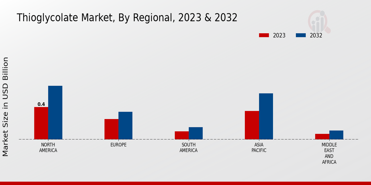 Thioglycolate Market Regional Insights