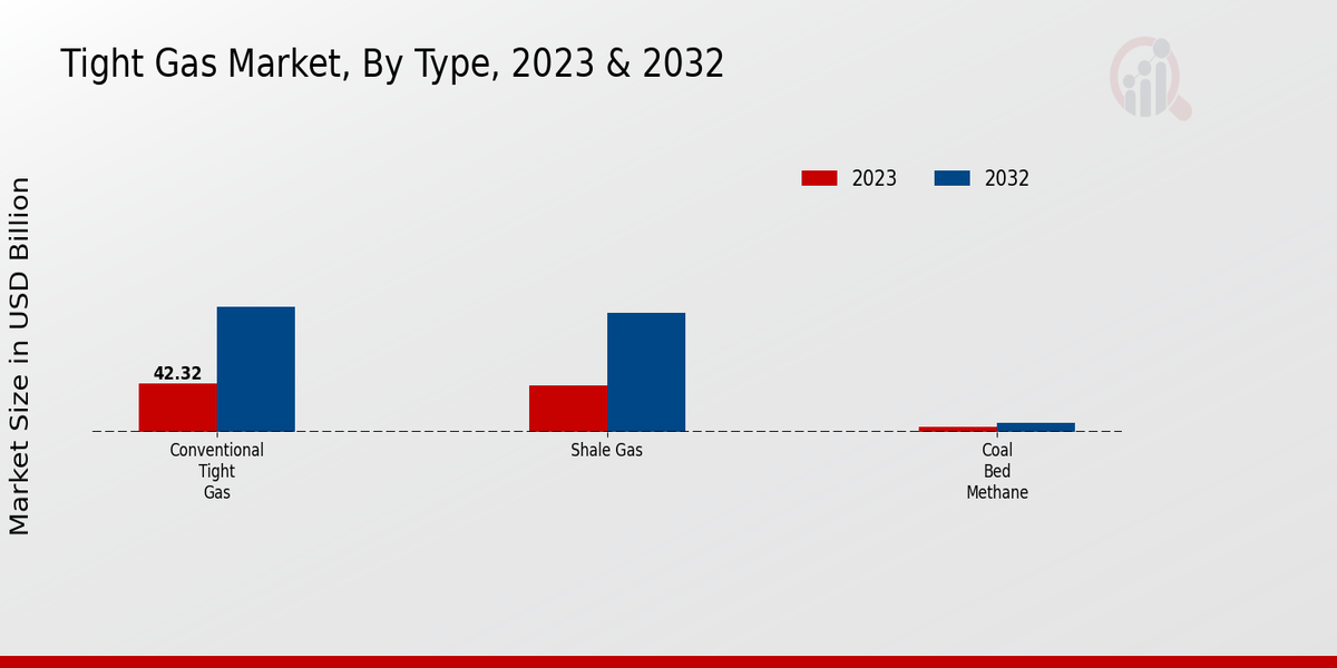 Tight Gas Market Type Insights