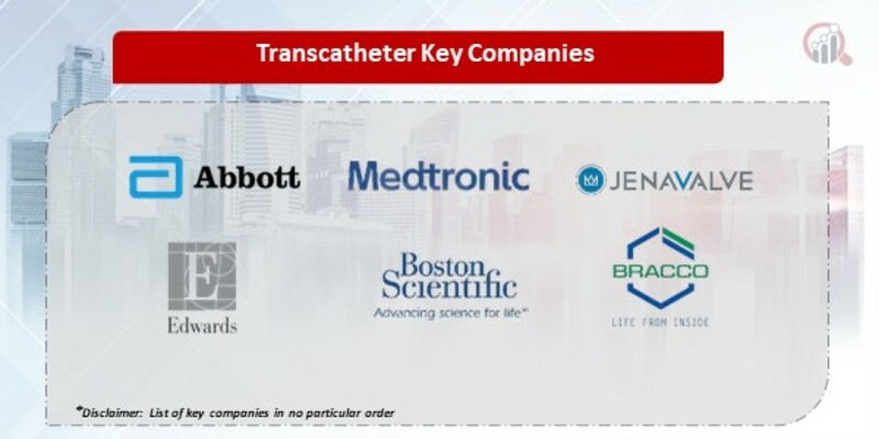 Transcatheter market 