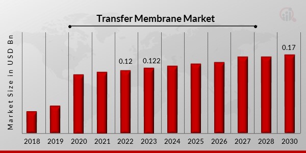 Transfer Membrane Market Overview12