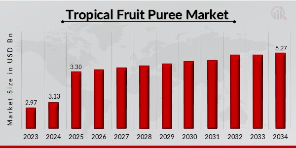 Tropical Fruit Puree Market Overview