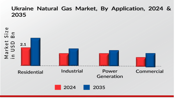 Ukraine Natural Gas Market Application Insights 