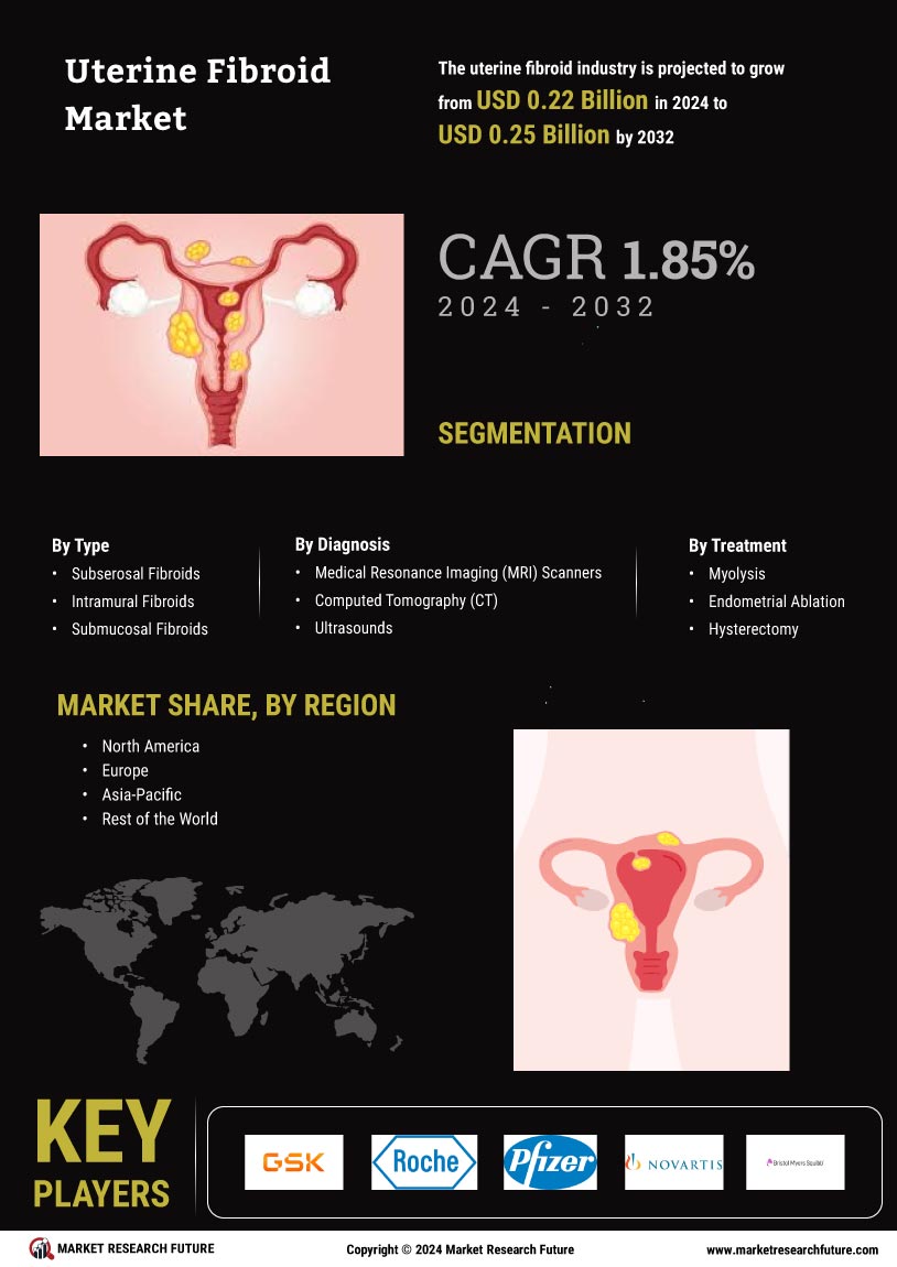 Uterine Fibroid Market