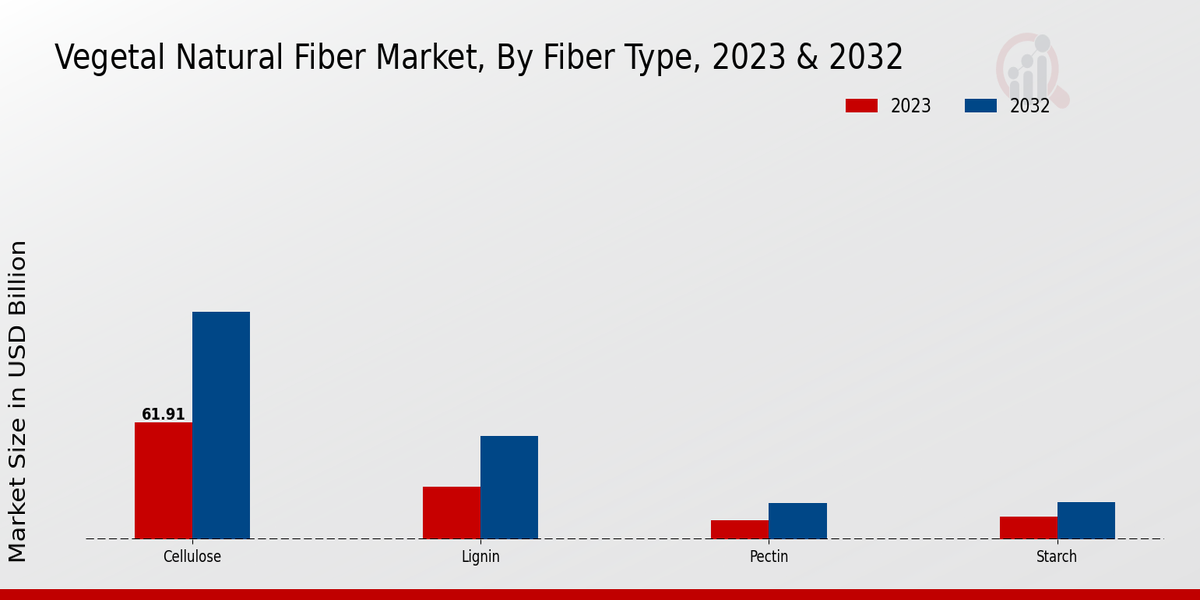 Vegetal Natural Fiber Market Fiber Type Insights  