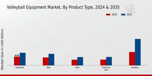 Volleyball Equipment Market Segment Insights