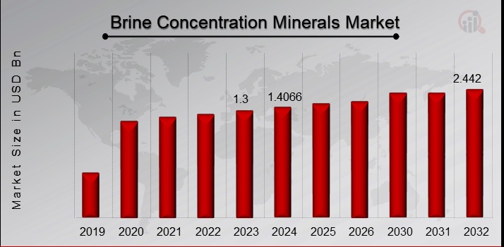  Brine Concentration Minerals Market Overview