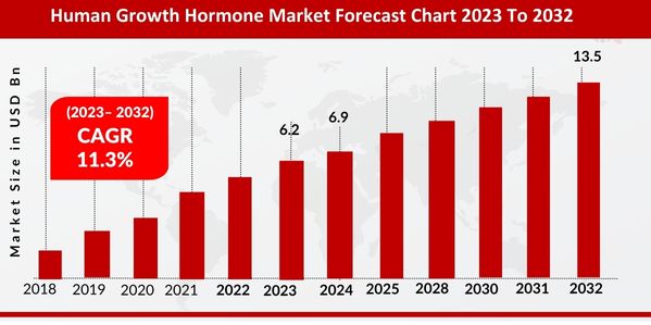 Übersichtsdiagramm zur Marktprognose für menschliches Wachstumshormon 2023 bis 2032