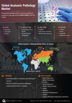 Anatomic Pathology Market