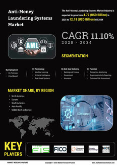 Anti-Money Laundering Systems Market