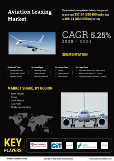 Aviation Leasing Market